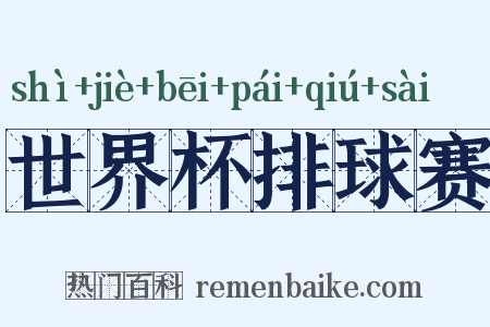 世界杯排球赛是什么意思的图片